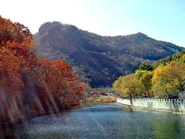 奥门天天开奖免费资料，复仇天使闯校园